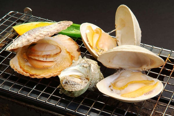 【茨城県内発】 初夏の房総半島グルメ旅!個人では予約不可の『きよっぱち』海鮮浜焼き食べ放題と旬の房総びわ皿盛り食べ放題!3